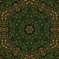 Dark green abstract square background. Kaleidoscope pattern of dark forest. Free background. photo