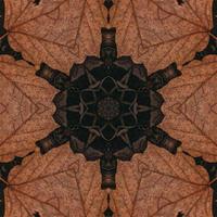 Brown abstract background. Wooden kaleidoscope pattern. Free photo. photo