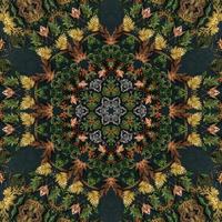 Dark green abstract rectangular background. Spruce kaleidoscope pattern. Free background. photo