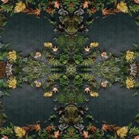 Dark green abstract rectangular background. Spruce kaleidoscope pattern. Free background. photo