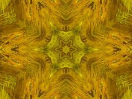 Reflection of colorful flowers in kaleidoscope pattern. Yellow and blue abstract background. Free photo. photo