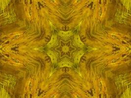 Reflection of colorful flowers in kaleidoscope pattern. Yellow and blue abstract background. Free photo. photo