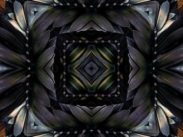 Black and white kaleidoscope pattern. Abstract background. Free photo. photo