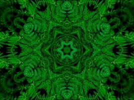 Reflection of leaves abstract background. Green kaleidoscope pattern. Free Photo. photo