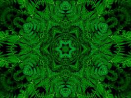 Reflection of leaves abstract background. Green kaleidoscope pattern. Free Photo. photo