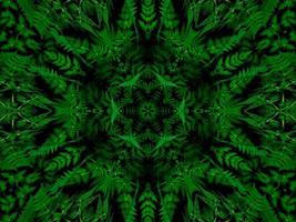 reflejo de hojas de fondo abstracto. patrón de caleidoscopio verde. foto gratis.
