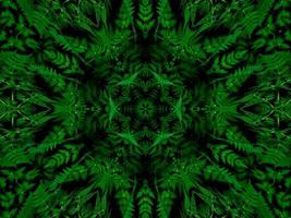 Reflection of leaves abstract background. Green kaleidoscope pattern. Free Photo. photo