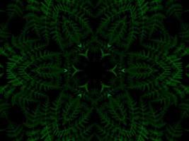 Reflection of leaves abstract background. Green kaleidoscope pattern. Free Photo. photo