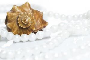 Seashell and pearl necklace photo