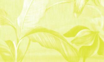 fabric texture with abstract background photo