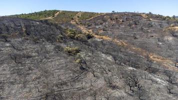 Aerial drone view of burned forest. Dark land and black trees caused by fire. Forest fire. Climate change, ecology and land. photo