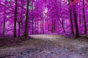 Beautiful pink and purple infrared panorama of a forest. photo