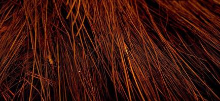 Red orange colors of sharp needle-like structure of coconut fiber with dark background photo