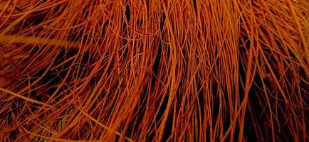 Red orange colors of sharp needle-like structure of coconut fiber with dark background photo