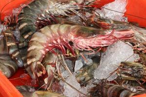 Black raw tiger shrimps, Red cooked prawn or tiger shrimp on market. photo