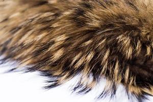 Closeup of fox fur