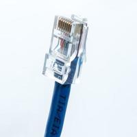 Closeup of Ethernet cable photo