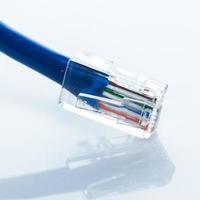 Closeup of Ethernet cable photo