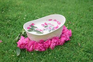 Baby bath and peony flowers. pink peonies. children's bath on green background. photo