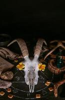 White goat scull with horns, flowers, open old book, candles on witch table. photo