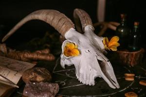 White goat scull with horns, flowers, open old book, candles on witch table. photo