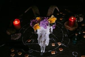 scull de cabra blanca con cuernos, flores, libro viejo abierto, velas en la mesa de brujas. foto