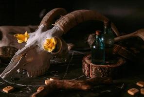 White goat scull with horns, flowers, open old book, candles on witch table. photo