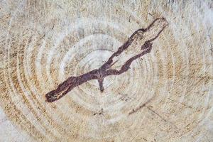 Grunge cutting board. Wood texture. photo