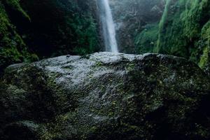 rocas cubiertas de musgo alrededor de la cascada foto