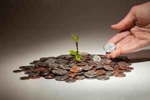 Pile of coins with tree sprout growing from the middle and hand adding coins to the pile photo