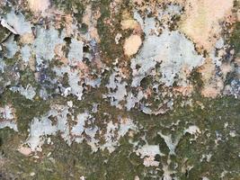 Moldy cement walls. Good for background photo