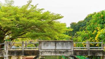 viejo puente de cemento que cruza el canal sobre un fondo verde. foto