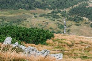 paisaje pintoresco con montañas verdes y prados de hierba en el valle rodeado de bosques de coníferas en las colinas. hermosos paisajes de las montañas de los cárpatos en la niebla. foto