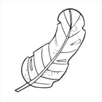 Feather Linear drawing. Simple shapes, minimalism. Natural elements for design. Hand drawn vector print