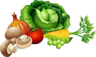 Set of vegetables on white background vector