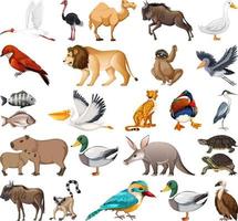 colección de diferentes tipos de animales vector