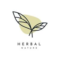 Leaf logo herbal nature