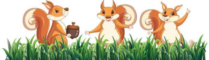 Three squirrels in the garden vector