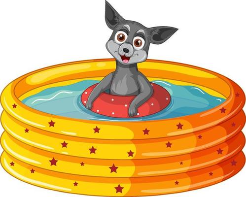 A Happy dog in inflatable pool on white background