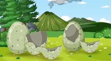 Broken eggs on the field vector