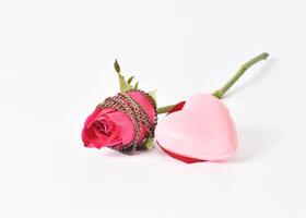 Rose flower with chain for romantic backgrounds concept photo