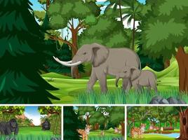 escenas del bosque con animales salvajes en el bosque vector