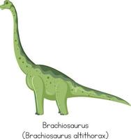 Brachiosaurus in green color vector