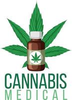 Cannabis plant medical in bottle vector