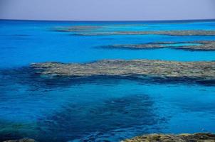 gran arrecife de coral en el mar rojo foto