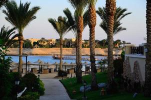 path to the beach and sea in egypt photo