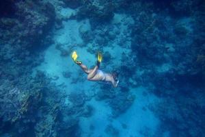 woman in bikini dives photo