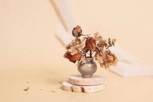 Miniature vase with dried flowers on wooden podiums. Still life monochrome minimalist neutral color concept.