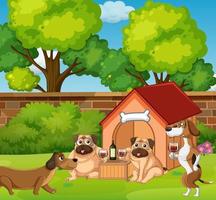 Many dogs playing in the park vector