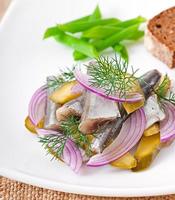 herring salad with pickled cucumbers and onions photo